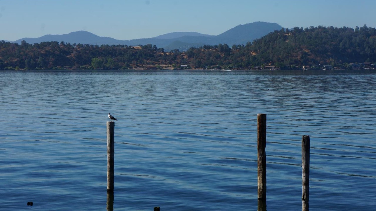 Photo of Outdoor in Clear Lake