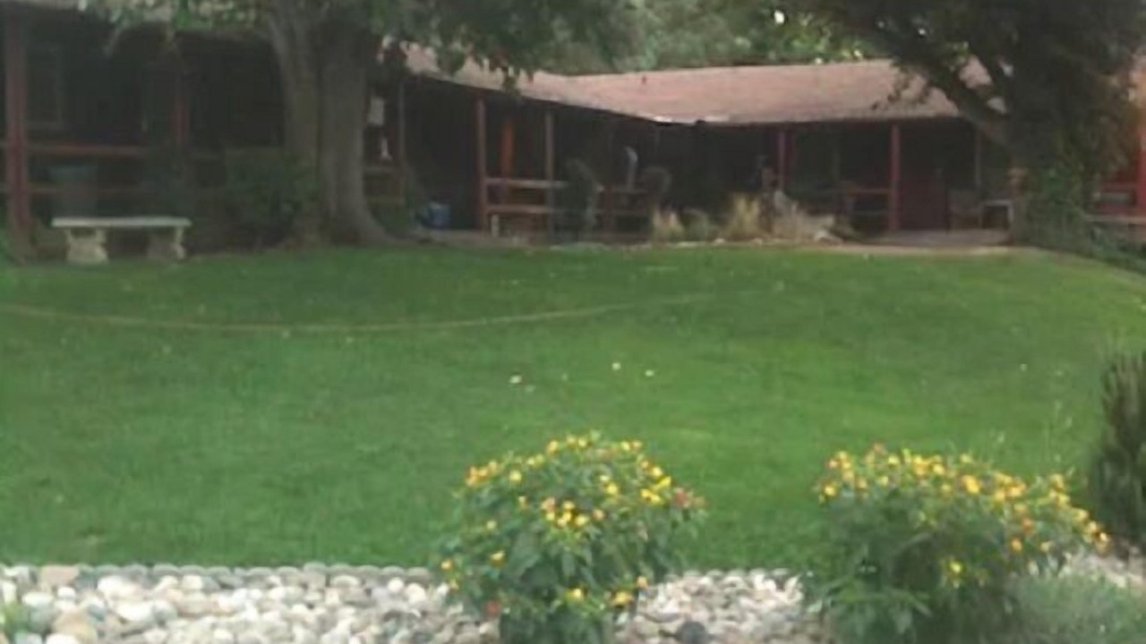 Photo of Buildings in Kernville