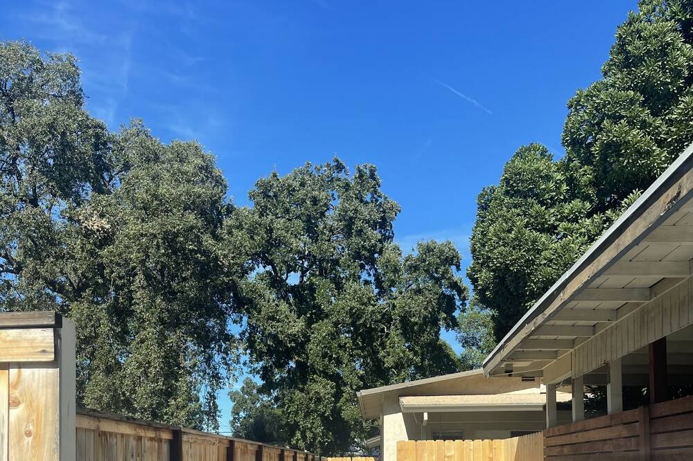 Photo of Outdoor in Chico