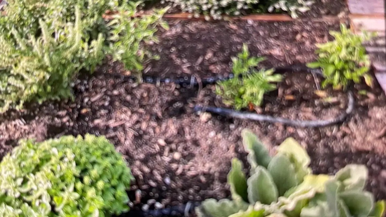 Photo of Outdoor in Hollister