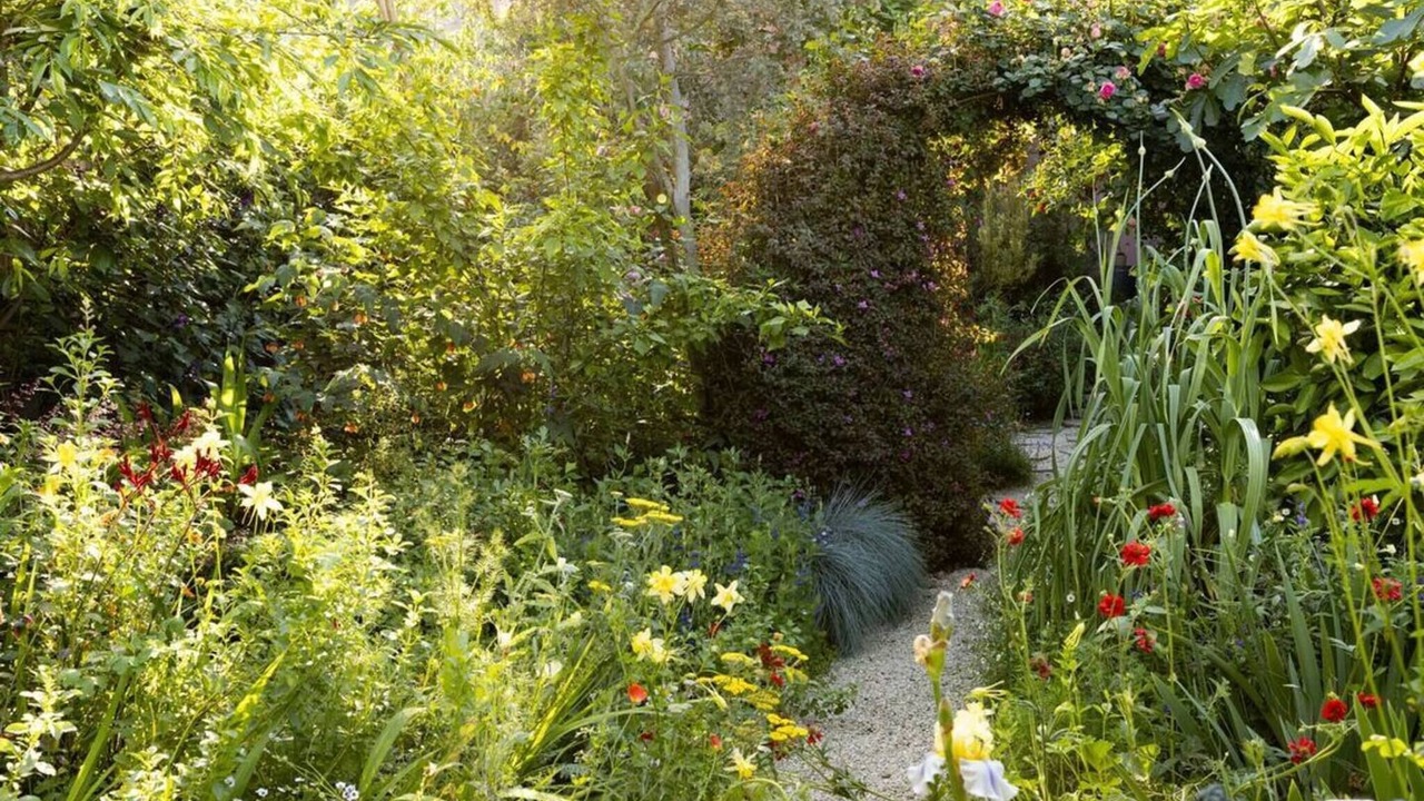 Photo of Outdoor in Silver Lake
