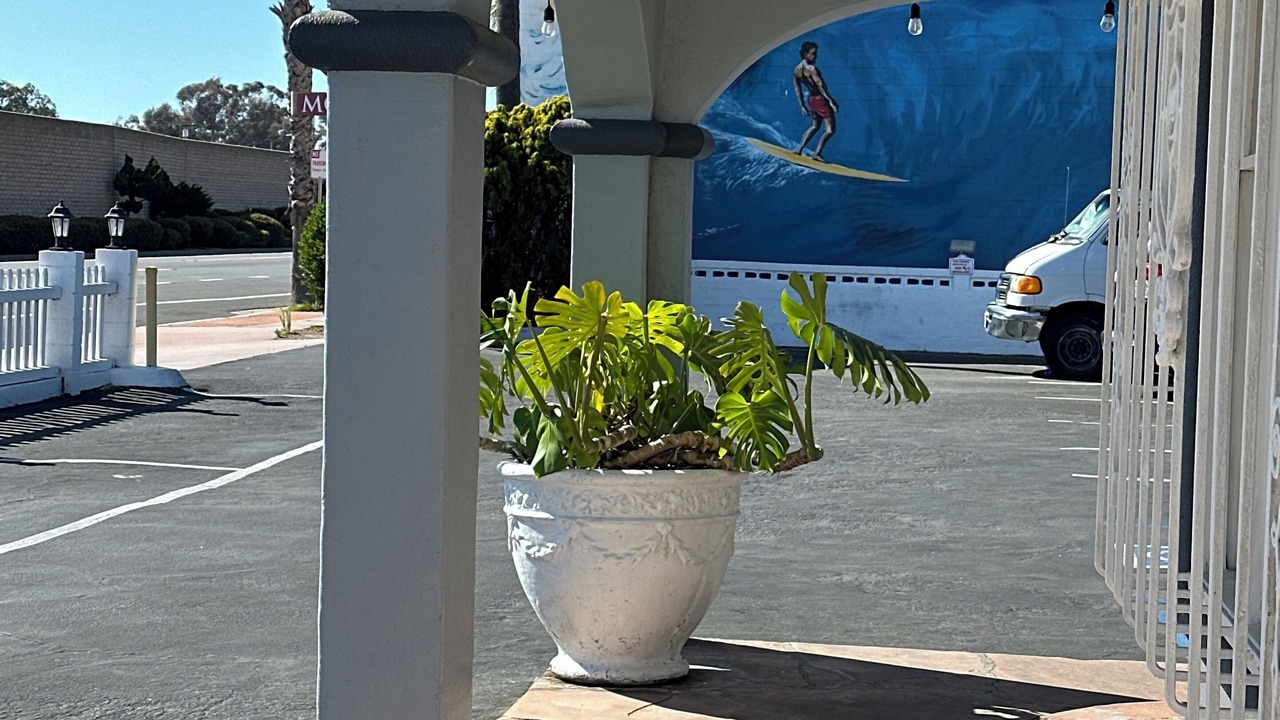 Photo of Others in San Onofre