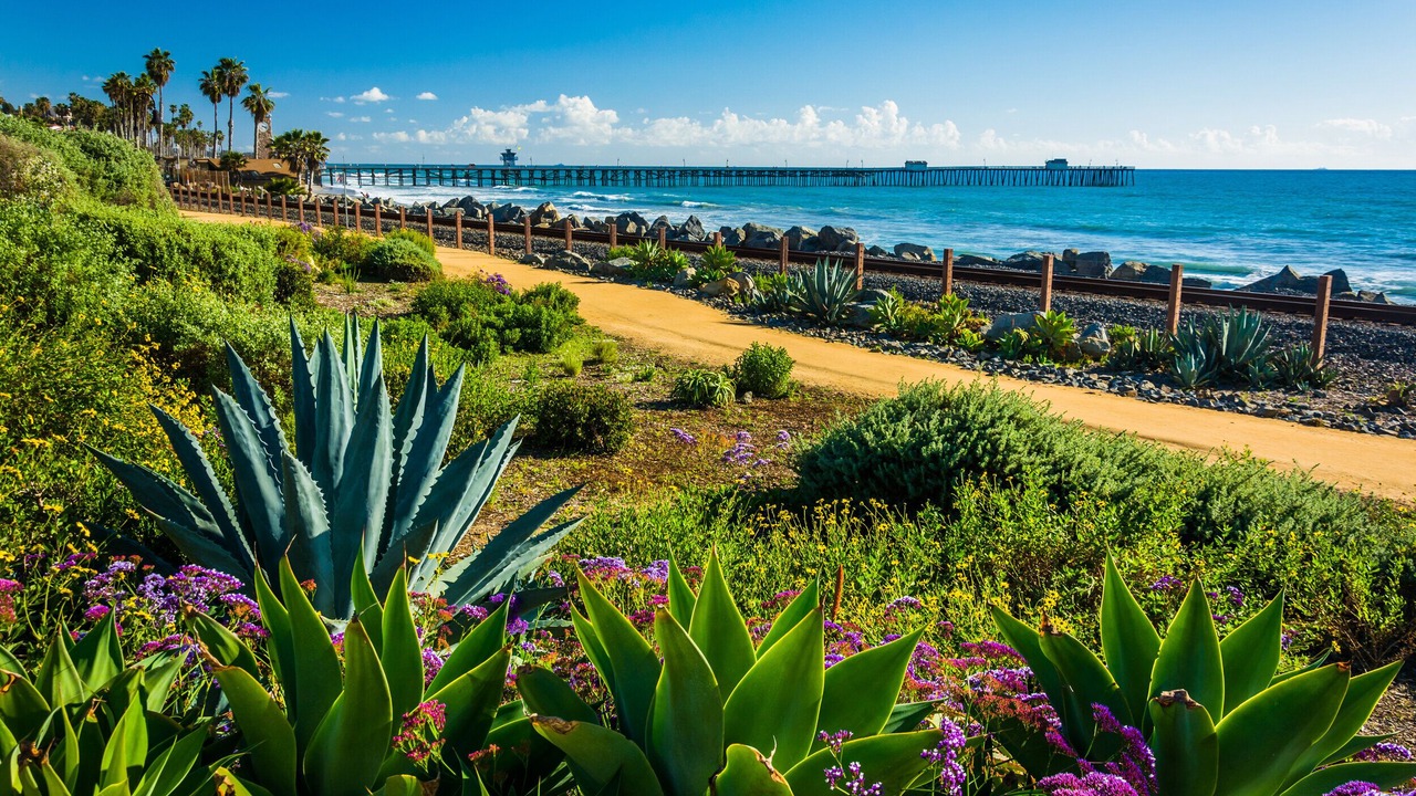 Photo of Others in San Onofre
