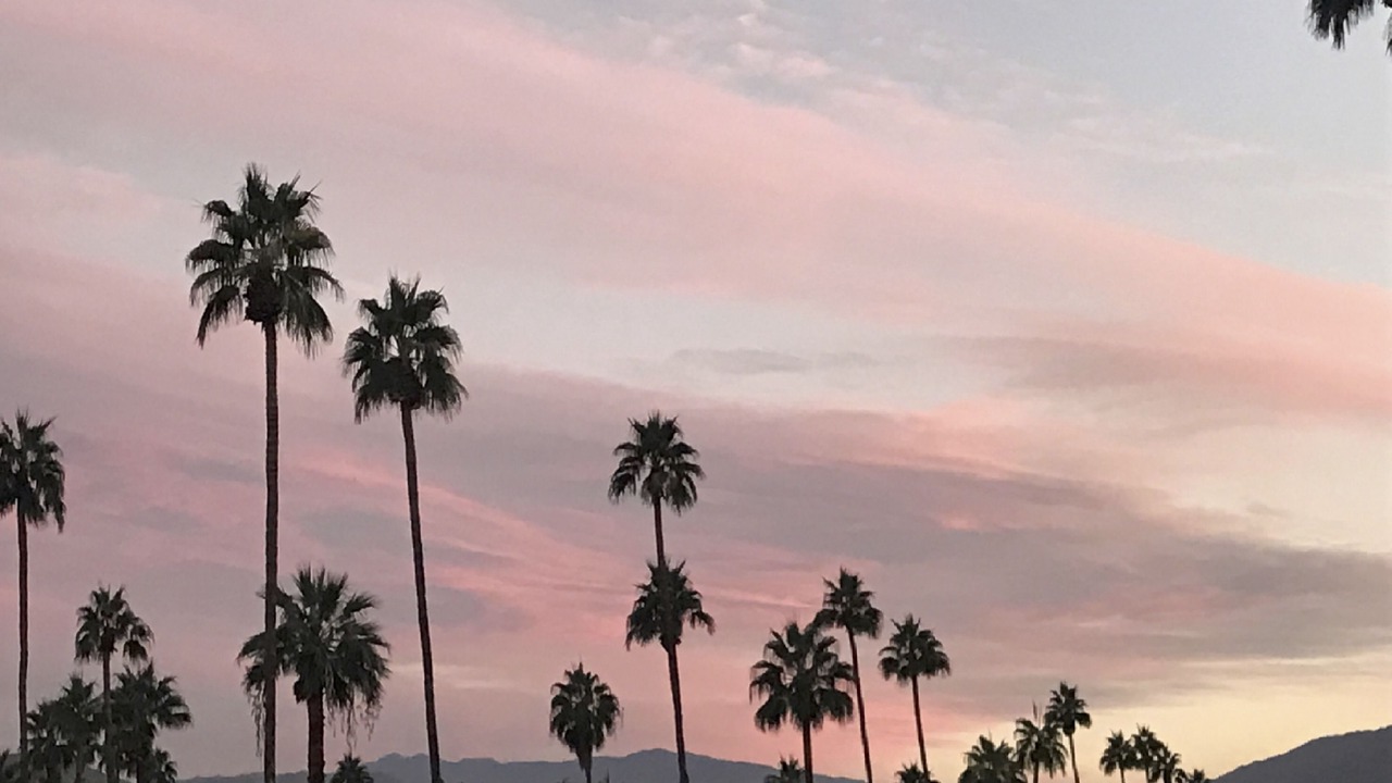 Photo of Others in Tahquitz River Estates