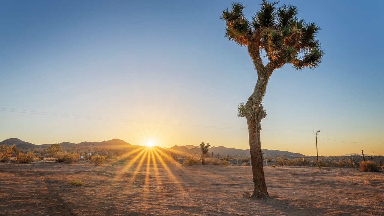 Photo of Others in Yucca Valley