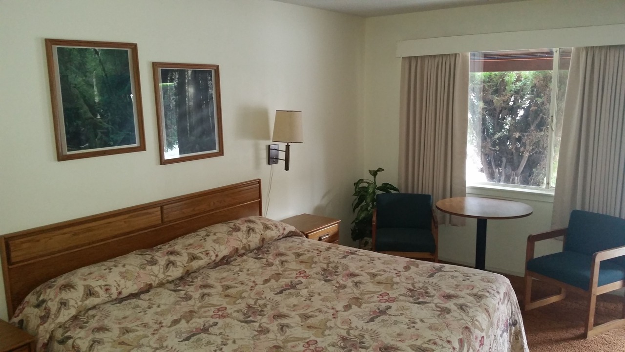 Photo of Bedroom in Willows