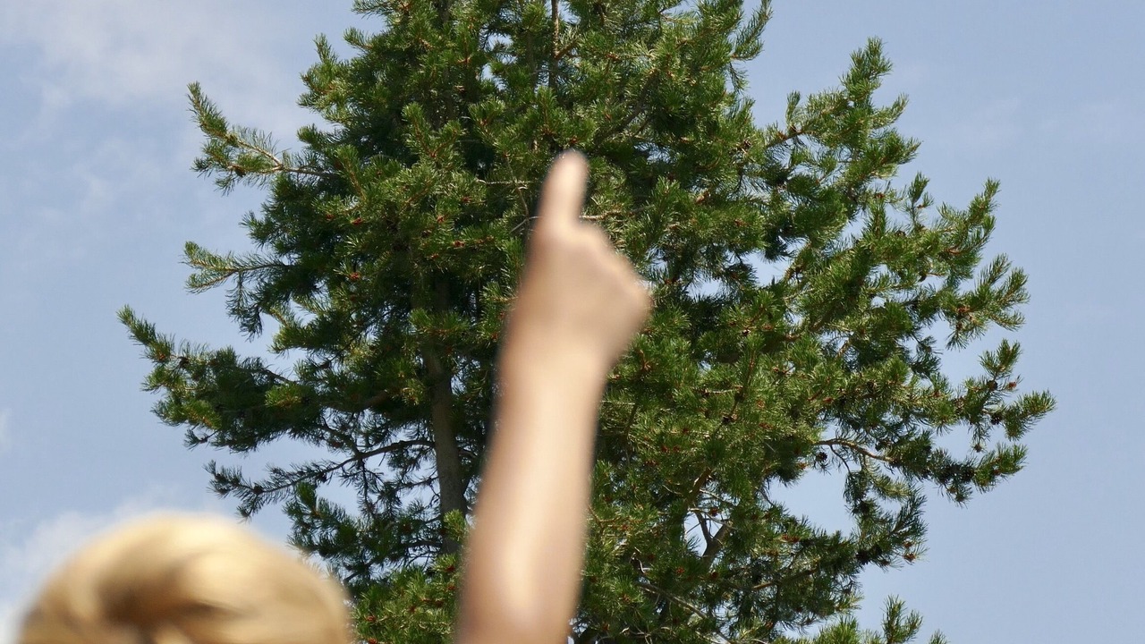 Photo of Others in Lake Davis