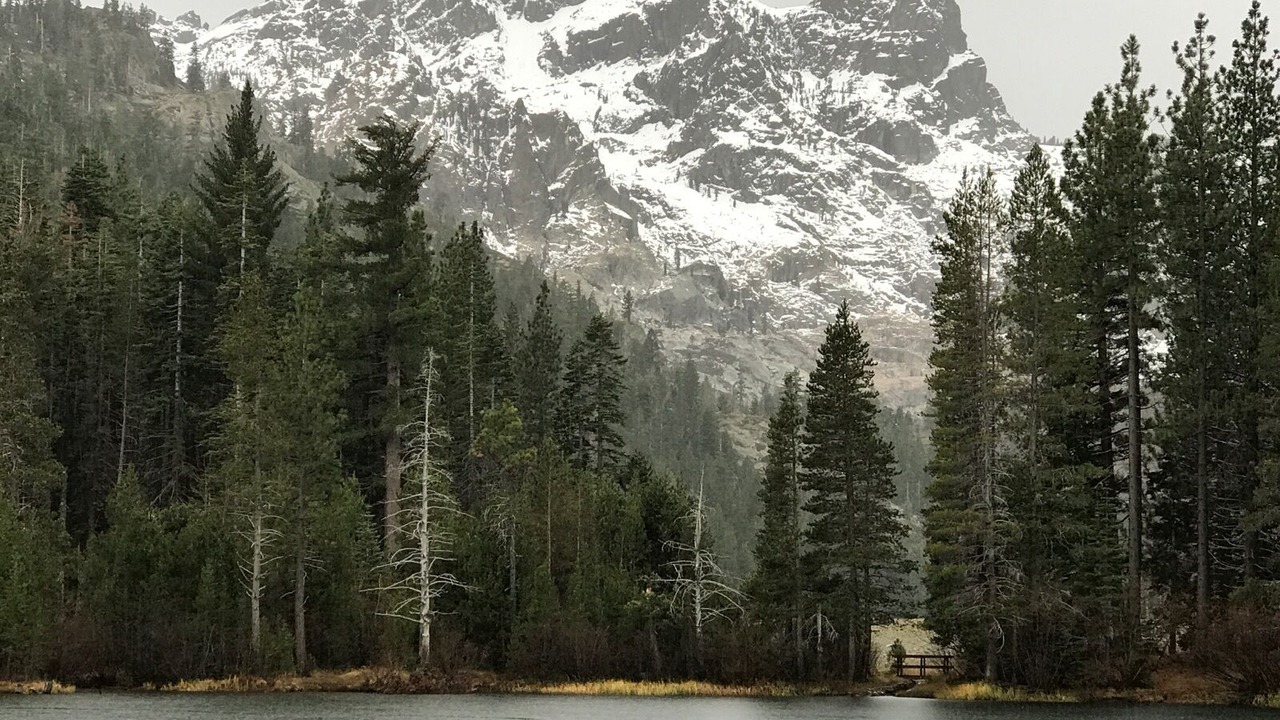 Photo of Others in Lake Davis