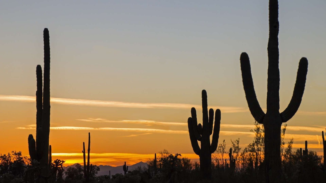 Photo of Others in Central Scottsdale