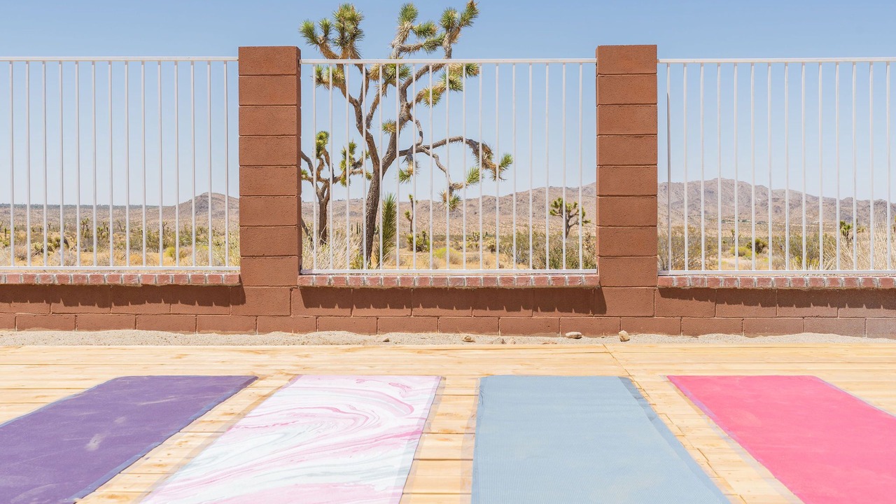 Photo of Others in Joshua Tree