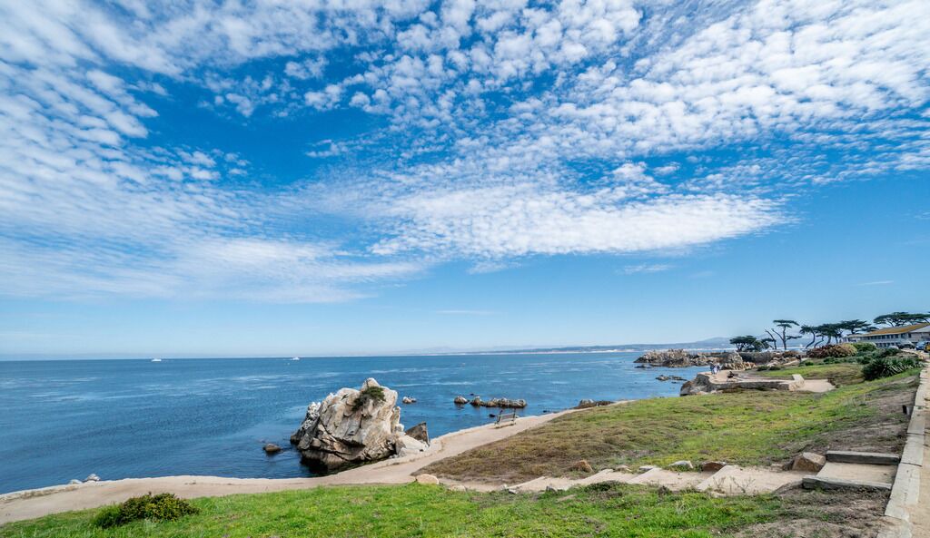 Photo of Others in Pacific Grove
