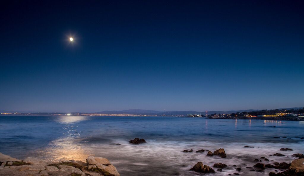 Photo of Others in Pacific Grove