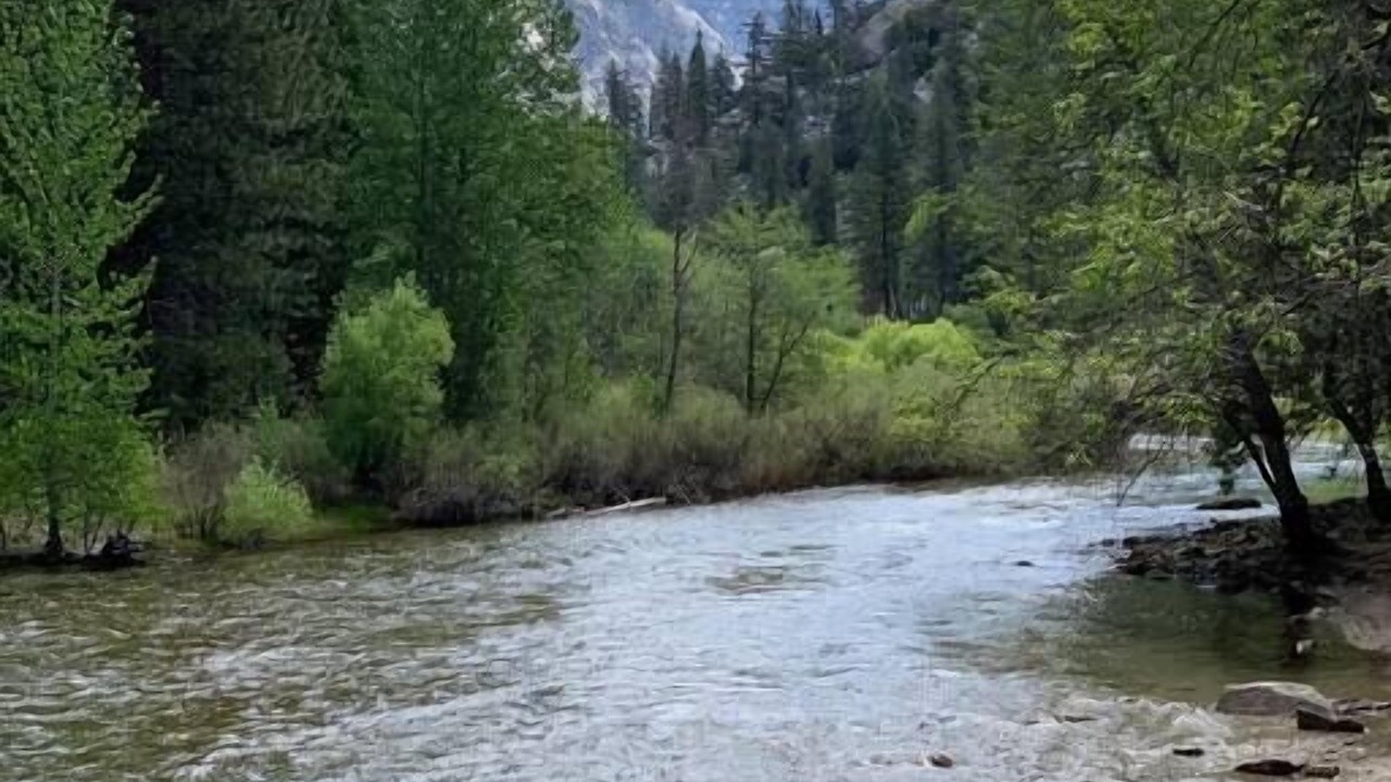 Photo of Others in Squaw Valley