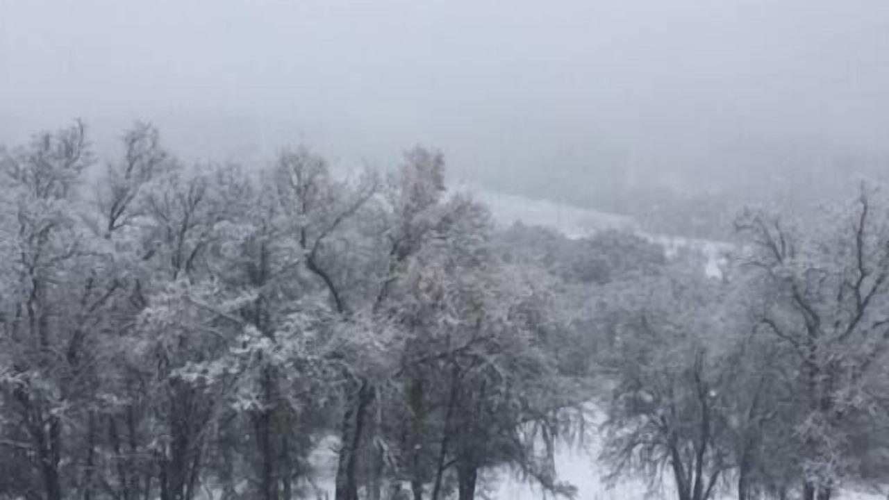 Photo of Others in Squaw Valley