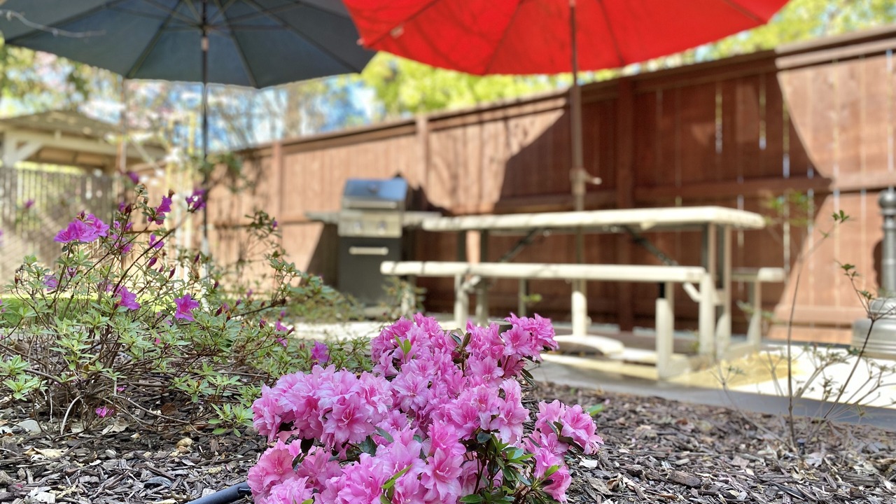 Photo of Patio Balcony in Chico