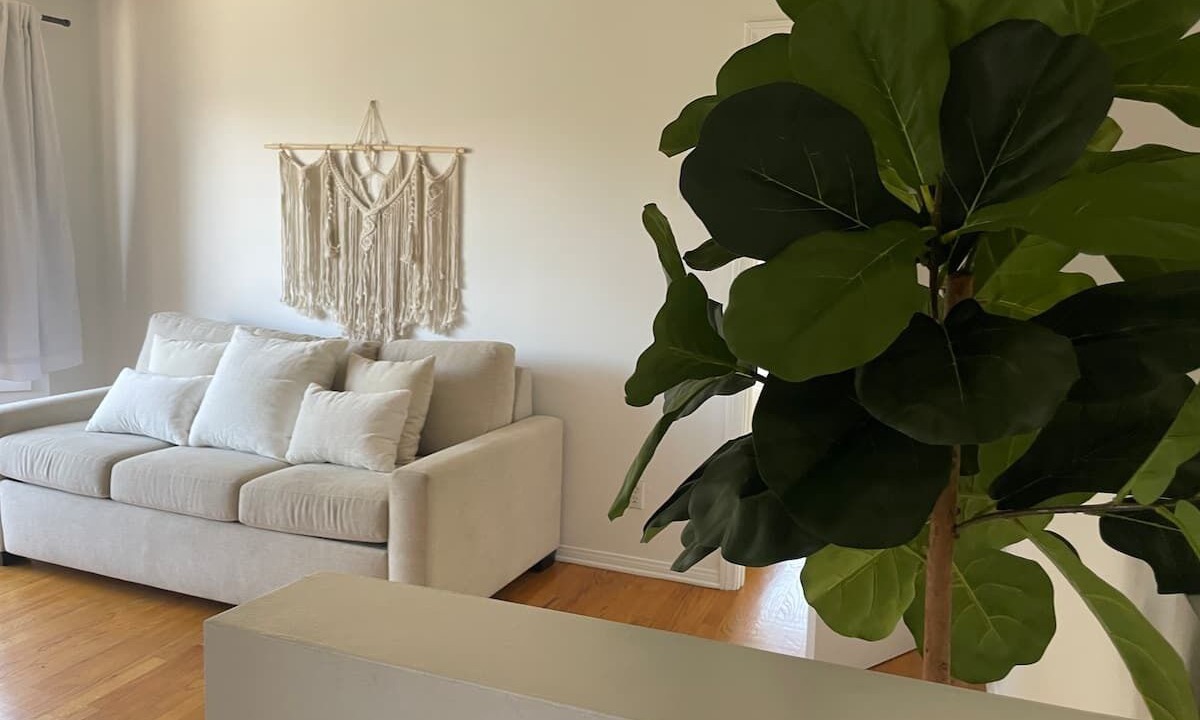 Photo of Livingroom in Miracle Mile