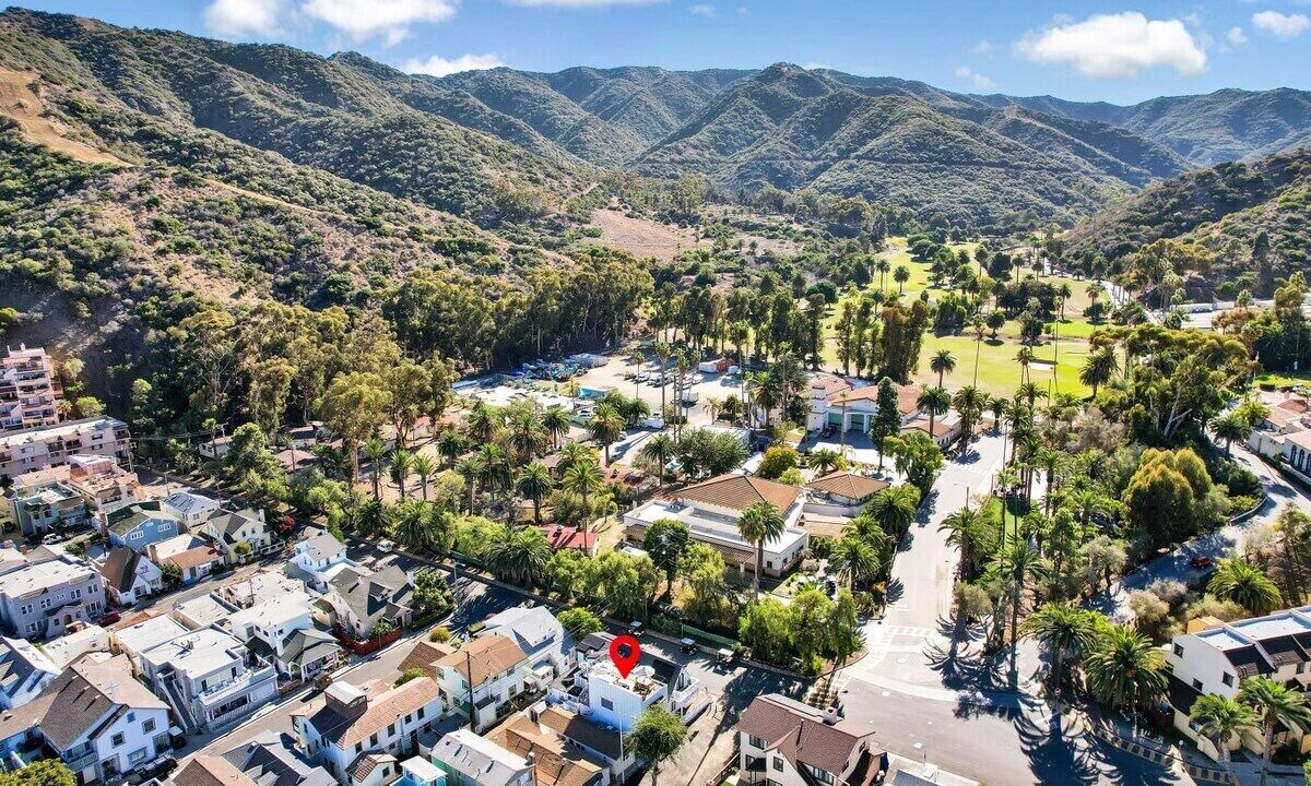 Photo of Others in Avalon
