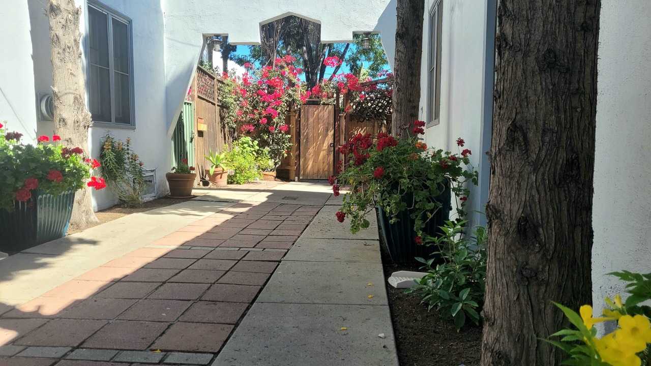 Photo of Outdoor in Hollywood