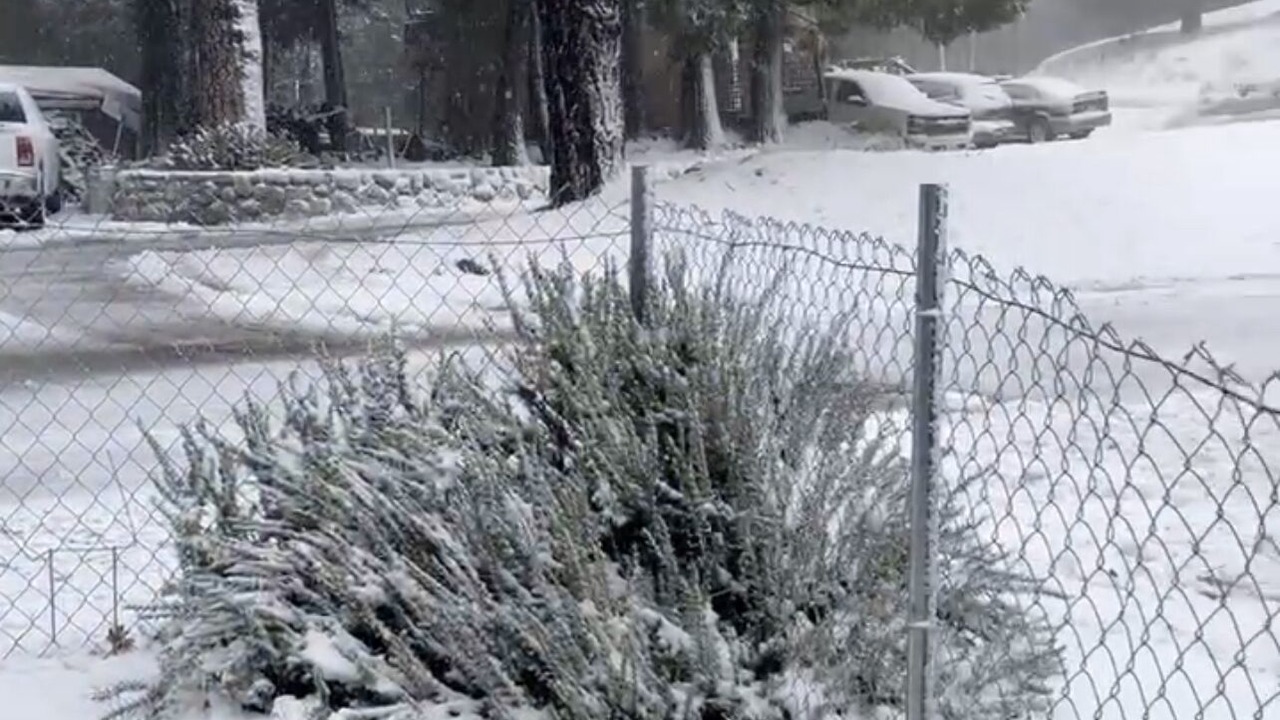 Photo of Outdoor in Cedarpines Park