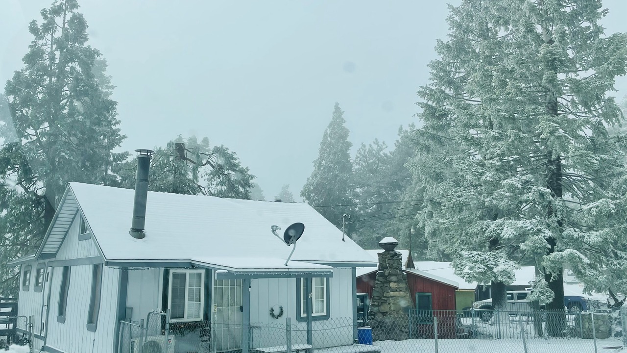 Photo of Outdoor in Cedarpines Park