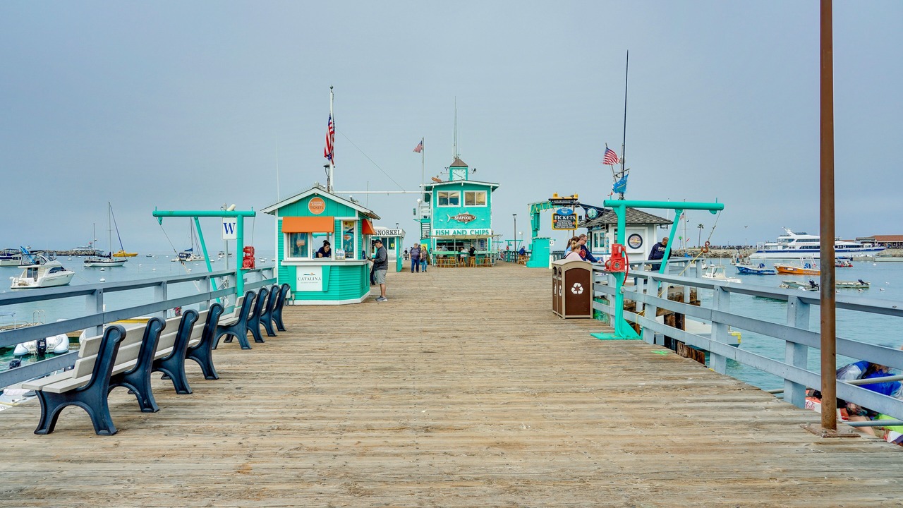 Photo of Others in Avalon