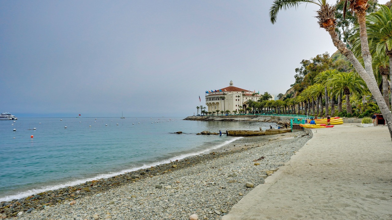 Photo of Others in Avalon