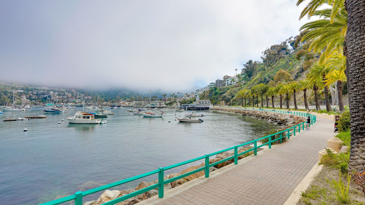 Photo of Others in Avalon