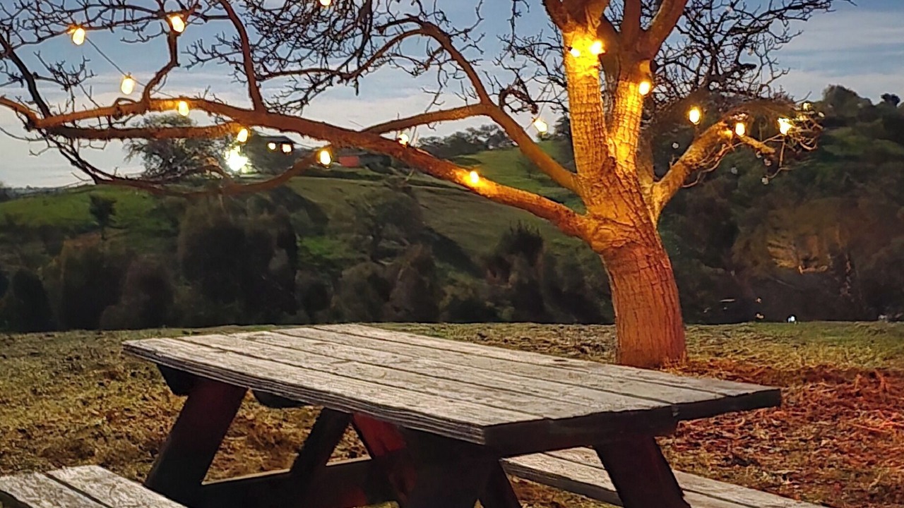 Photo of Others in Paso Robles