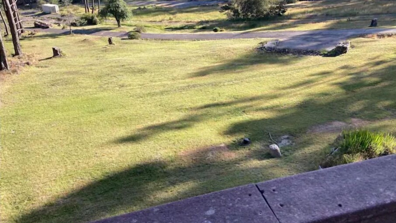 Photo of Outdoor in Timber Cove