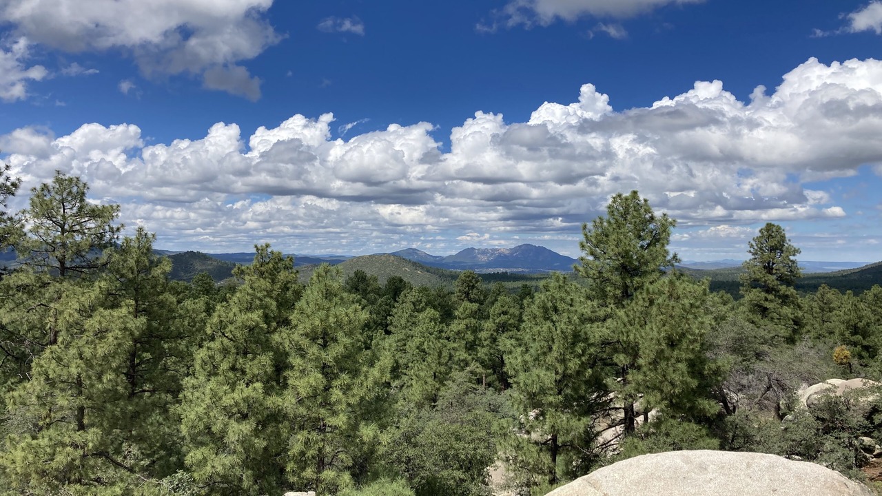 Photo of Others in Prescott