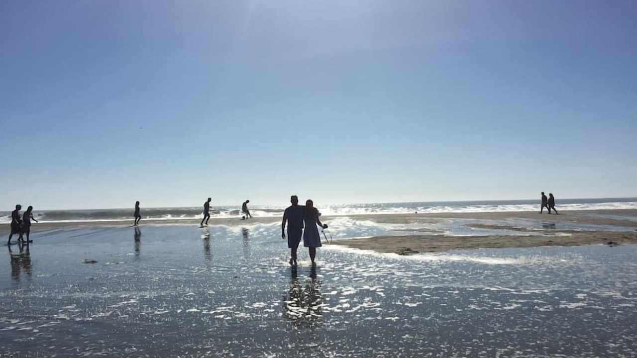 Photo of Others in Stinson Beach
