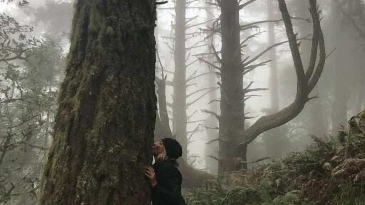 Photo of Others in Stinson Beach