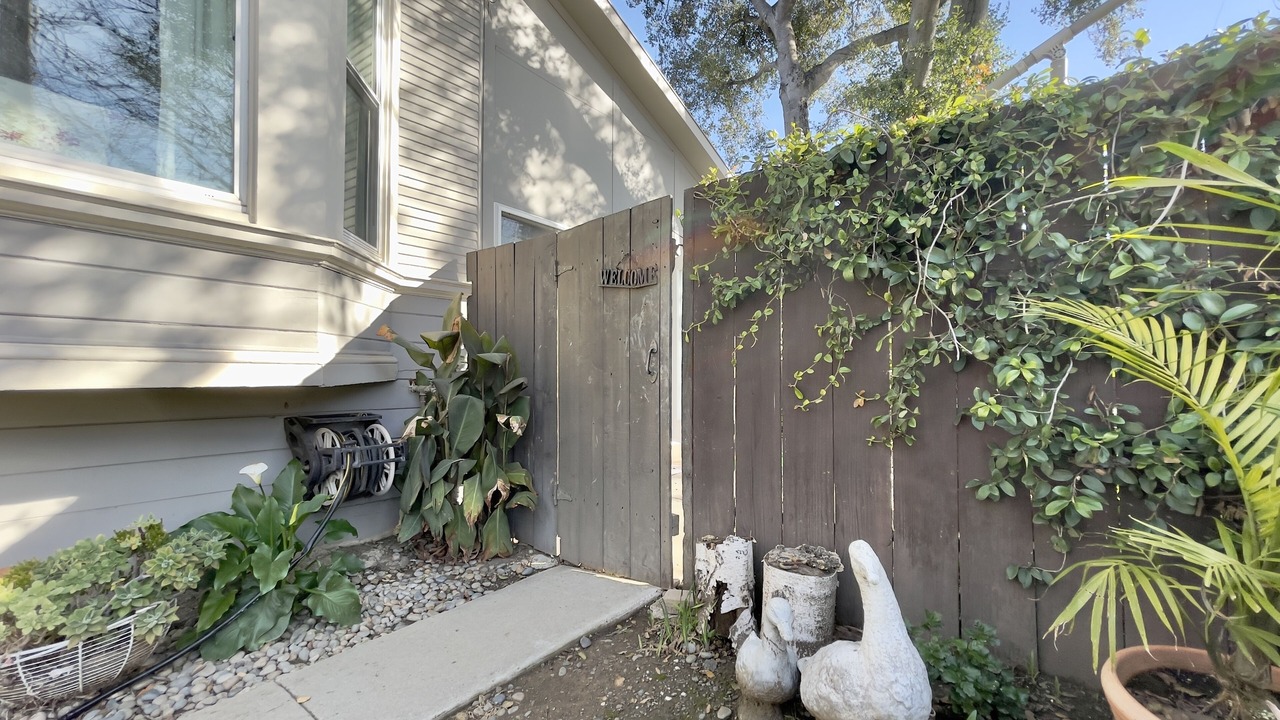 Photo of Outdoor in Willow Glen