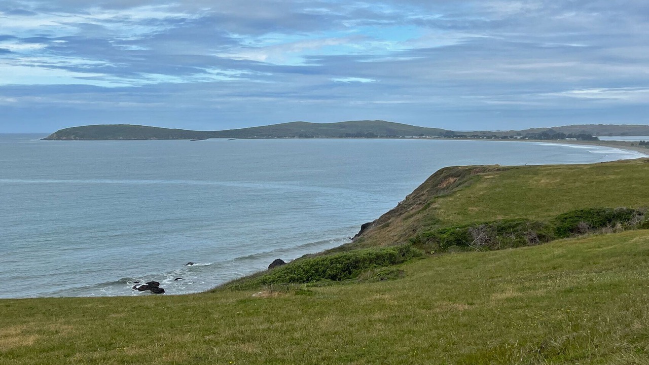 Photo of Others in Bodega Bay