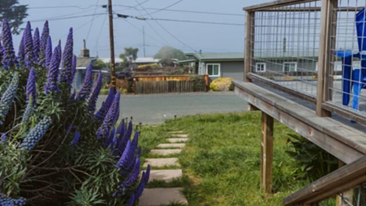 Photo of Outdoor in Bodega Bay