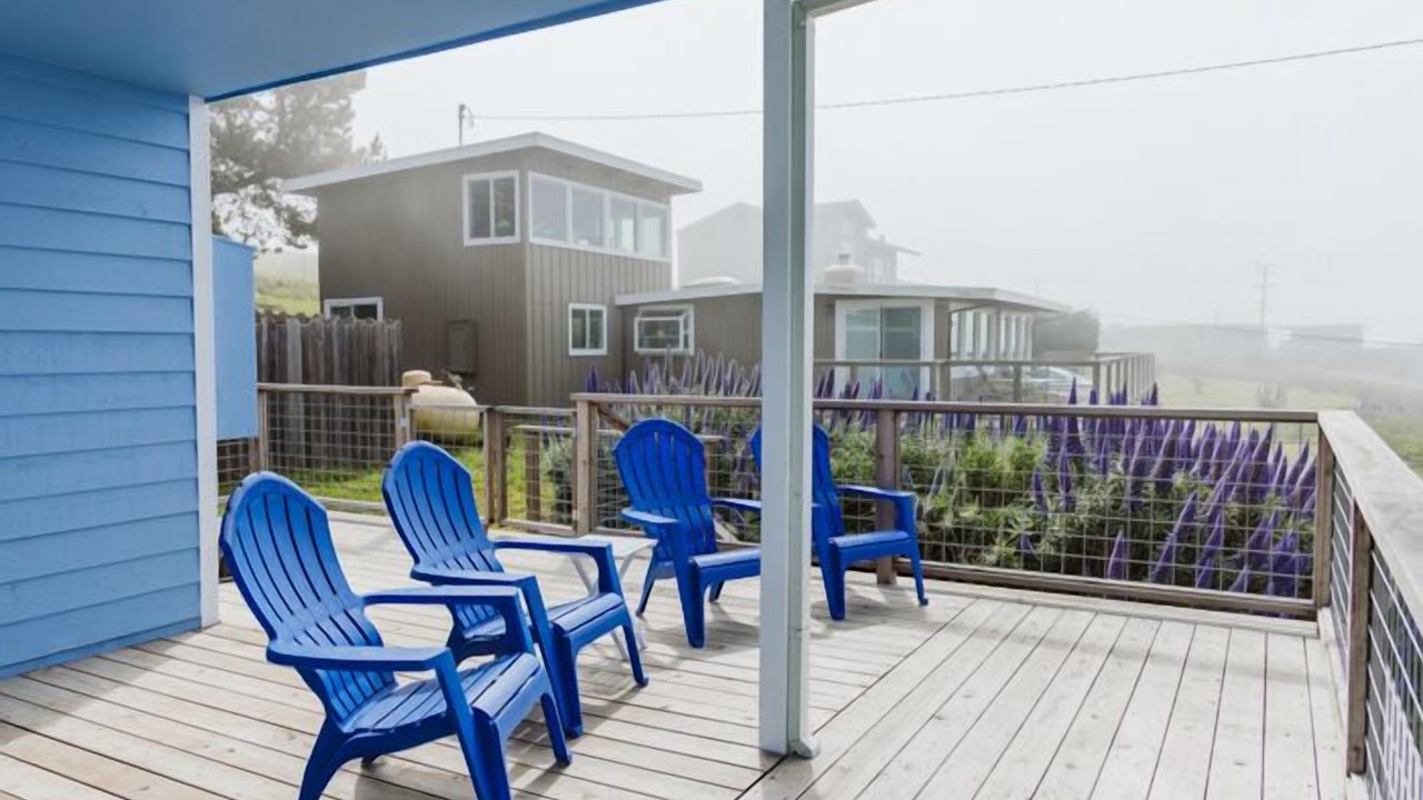 Photo of Outdoor in Bodega Bay
