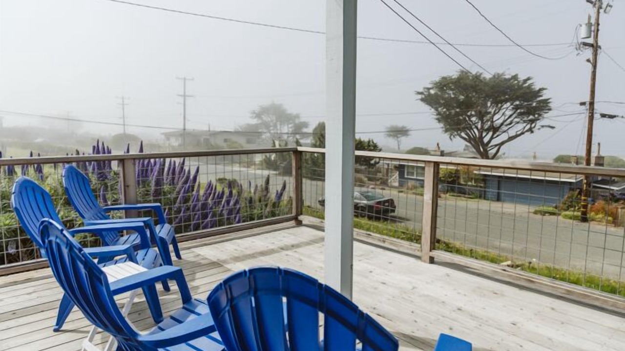 Photo of Outdoor in Bodega Bay