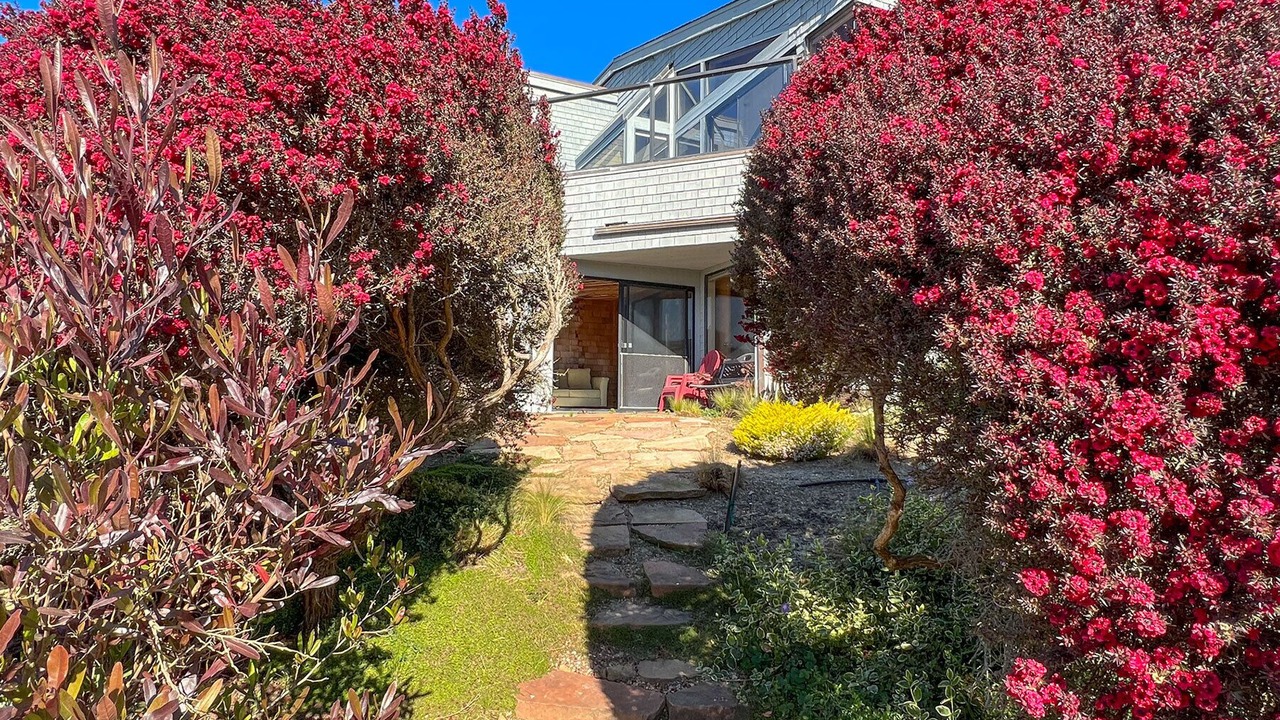 Photo of Outdoor in Bodega Bay