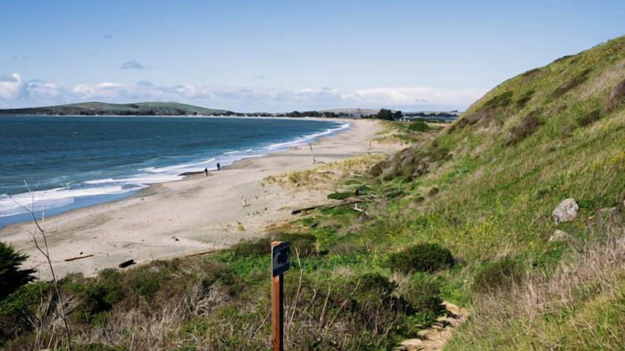Photo of Outdoor in Bodega Bay