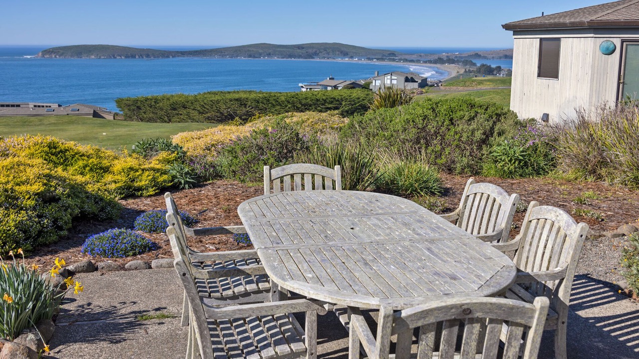 Photo of Others in Bodega Bay