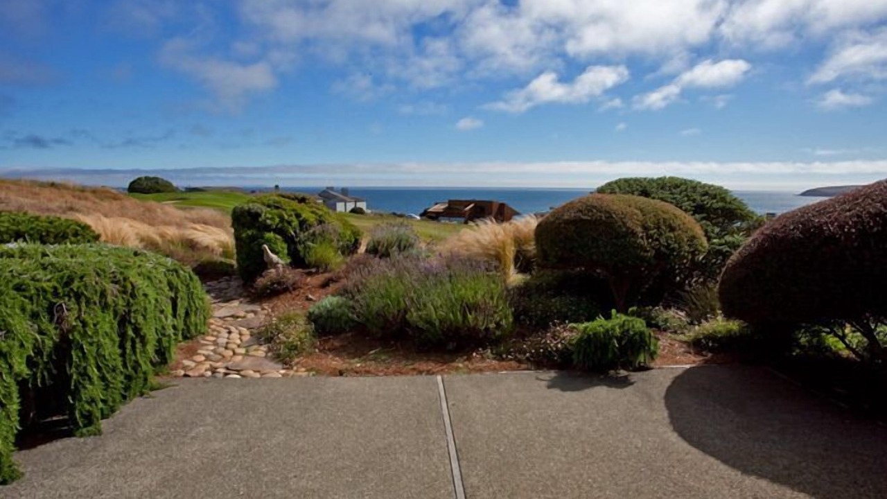 Photo of Others in Bodega Bay