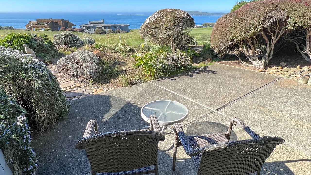 Photo of Others in Bodega Bay