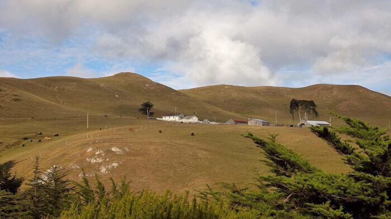 Photo of Others in Bodega Bay