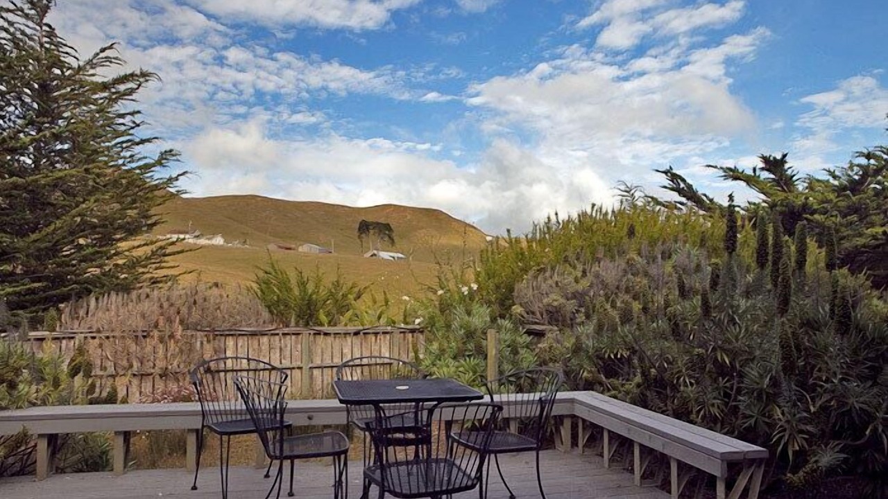 Photo of Others in Bodega Bay