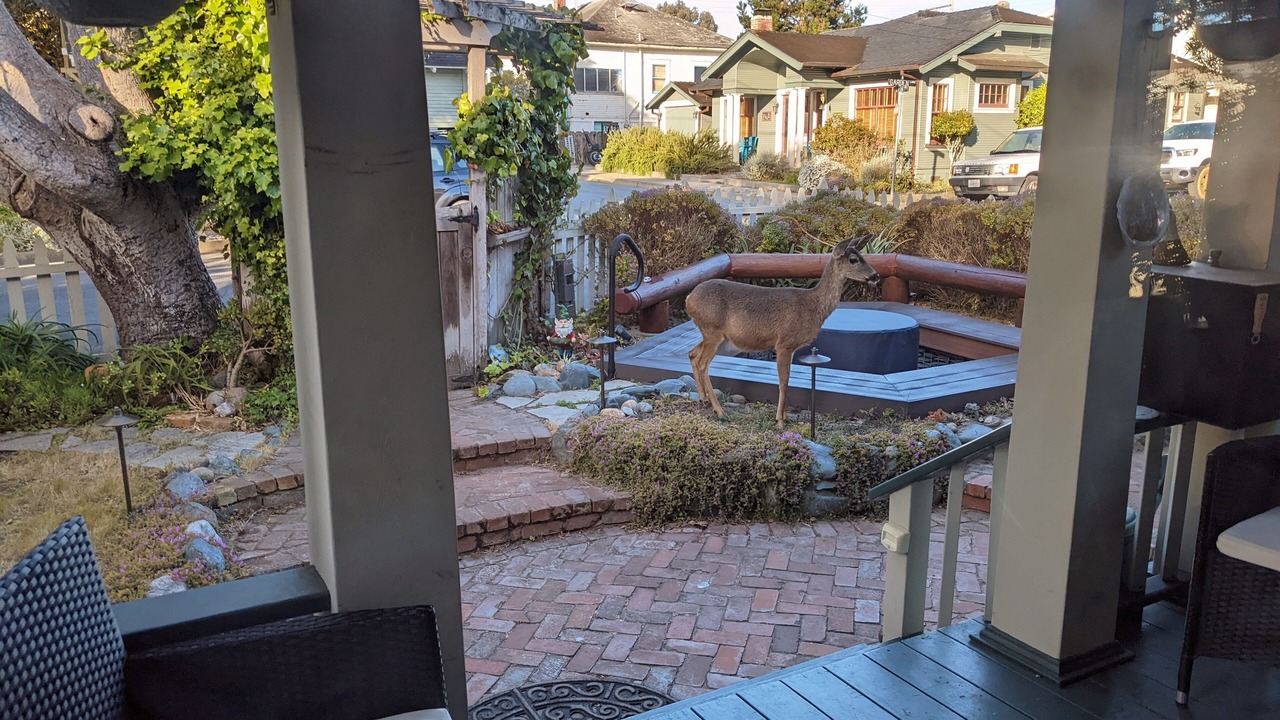 Photo of Outdoor in Pacific Grove