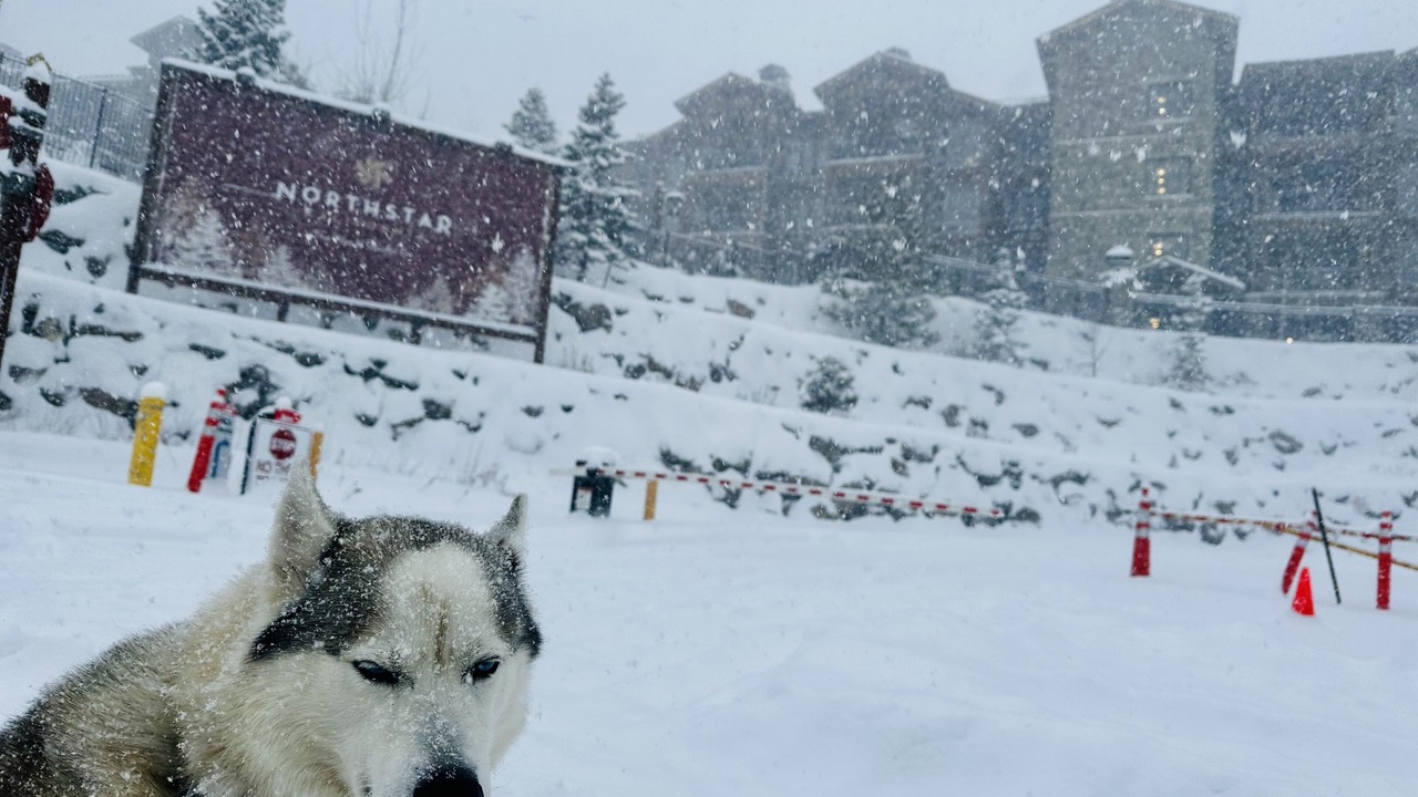 Photo of Others in Truckee
