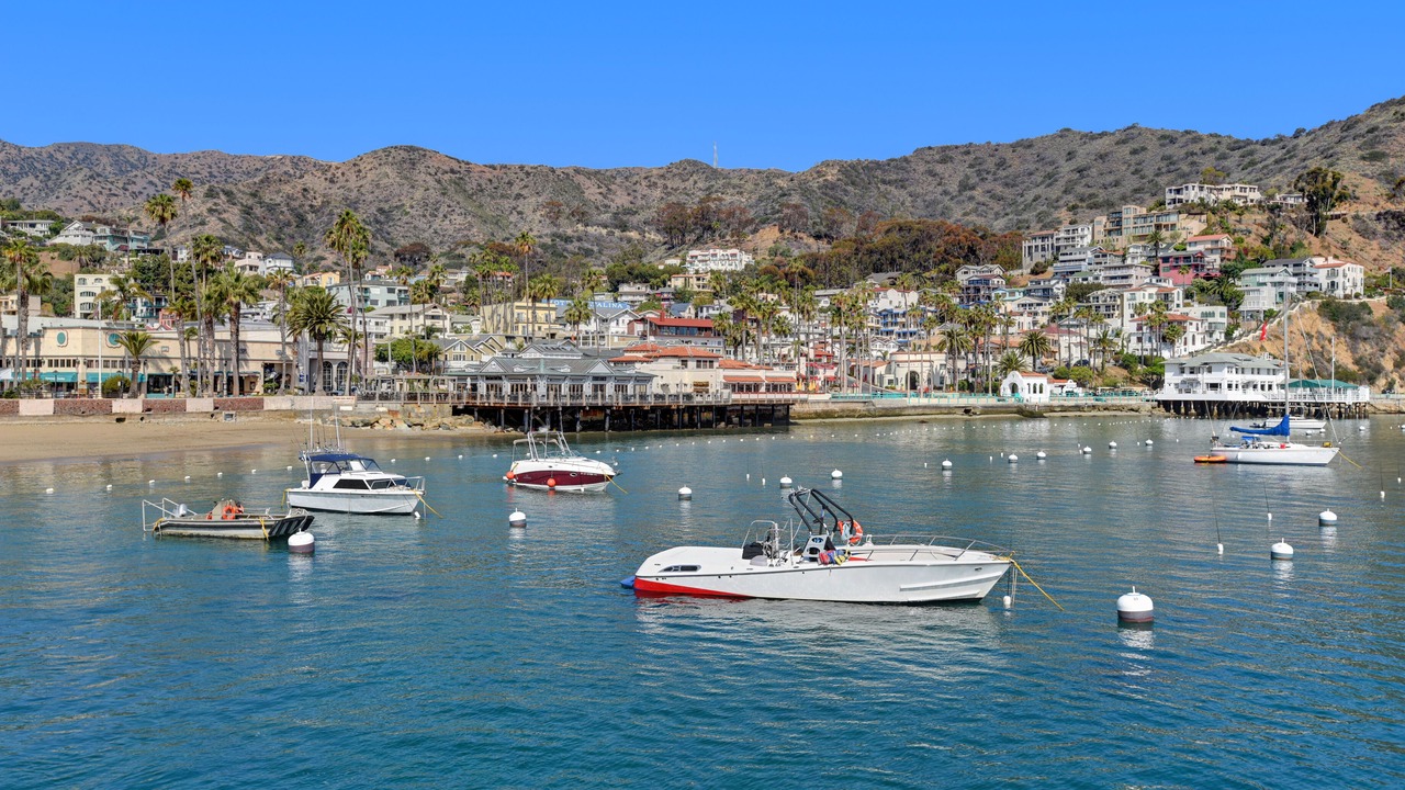 Photo of Others in Avalon