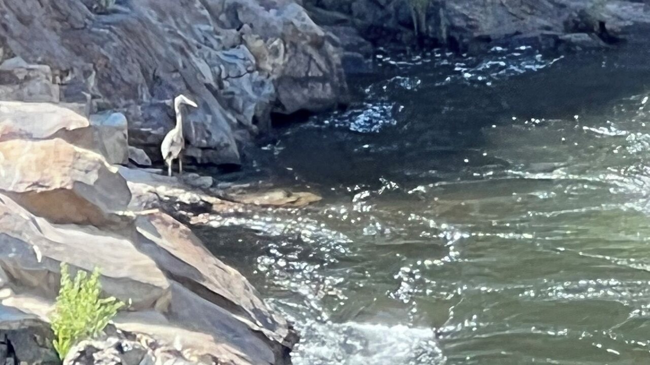 Photo of Others in Kernville