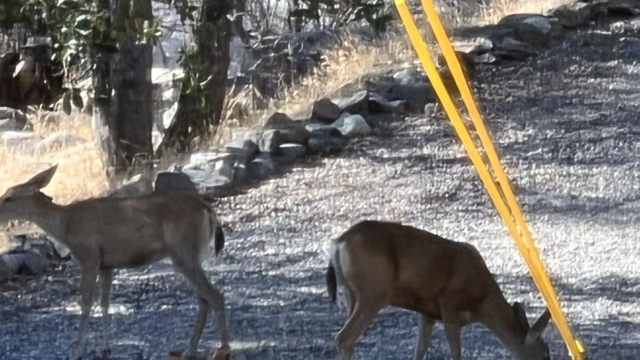 Photo of Outdoor in Kernville