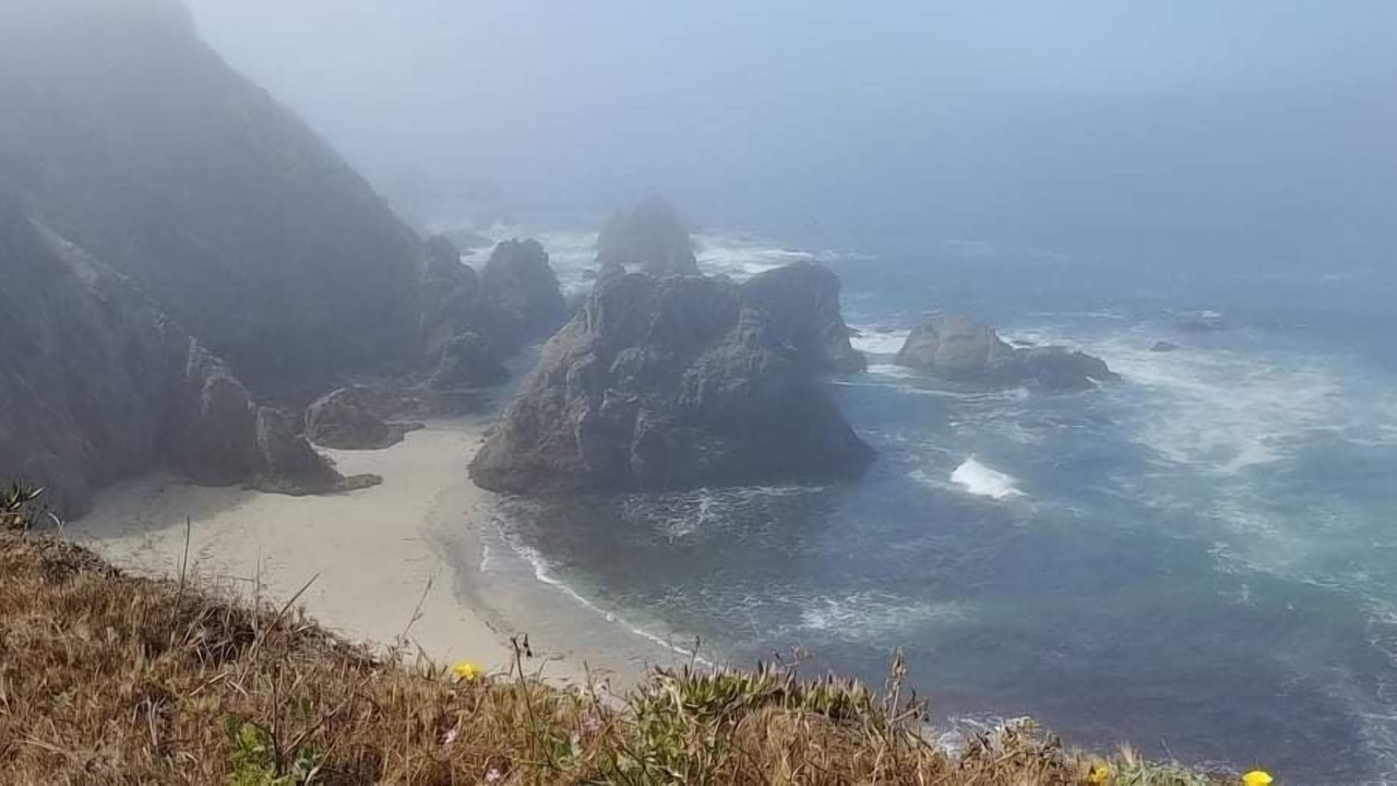 Photo of Others in Bodega Bay